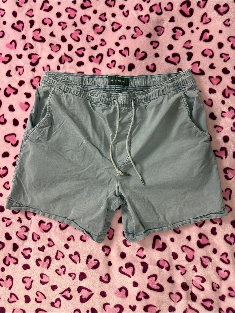 American Eagle Outfitters Light Blue Drawstring Waist Shorts
